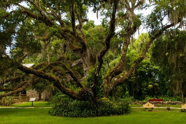 Celebrating National Park & Recreation Month in the Greater Daytona Region