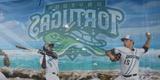 Daytona Tortugas Investor Social