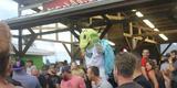 Daytona Tortugas Investor Social